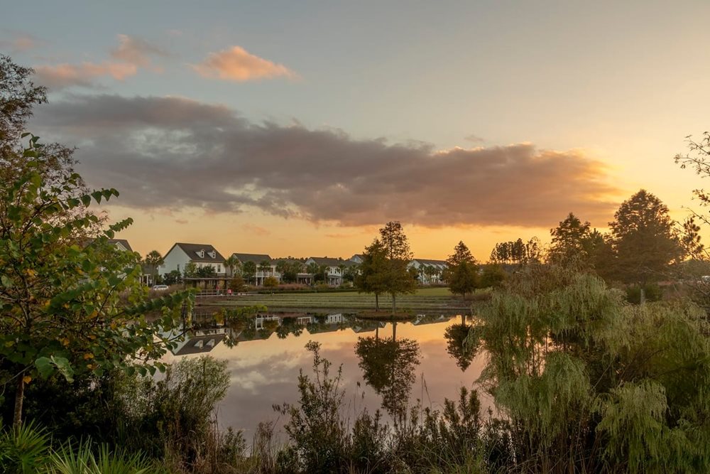 PondView of the Developer at Nexton