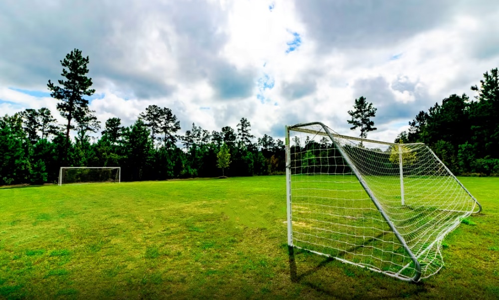 SportsField at BradfordPointe by Centex