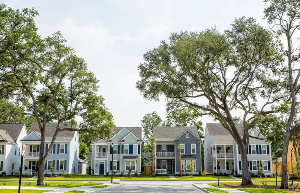 Oakfield Streetscape