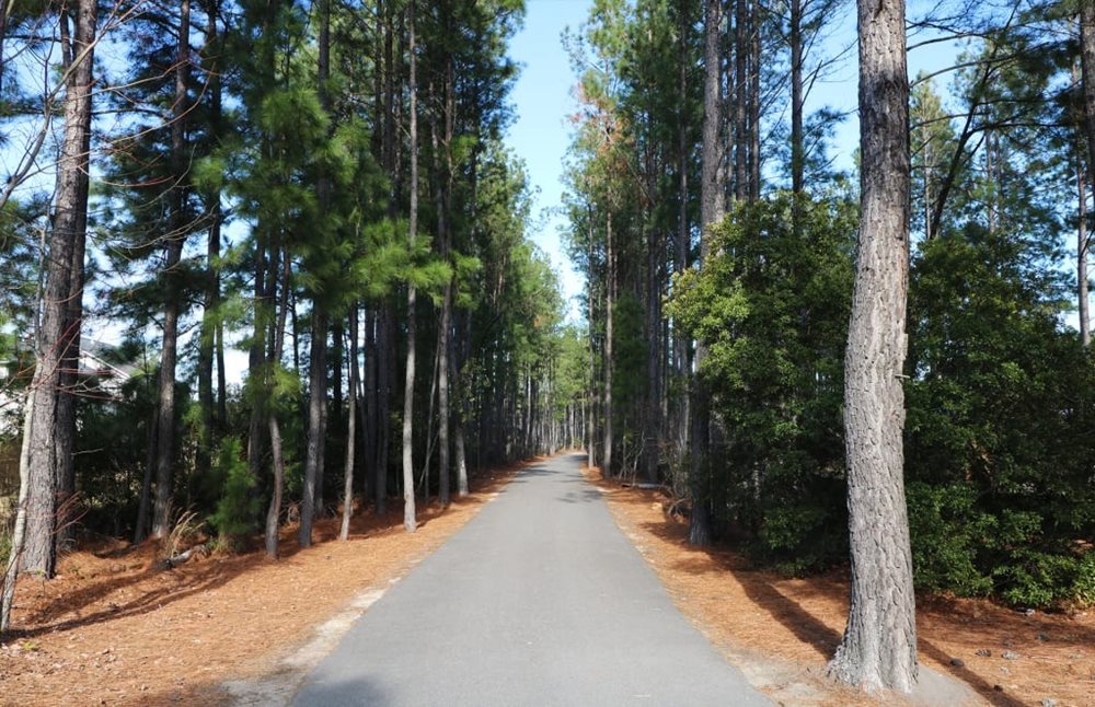 Trails at SanctuaryCove by Centex