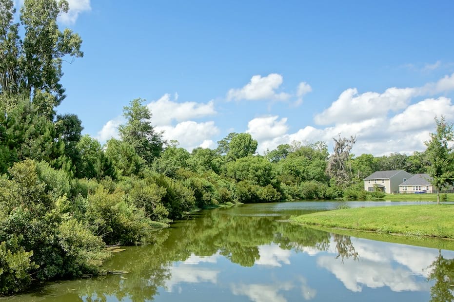 Pond at ShadowMoss by Centex
