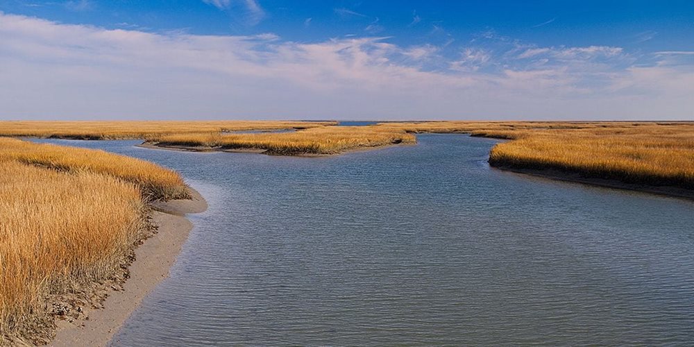 MarshWaterView at EnclaveStratton by DRB Coastal