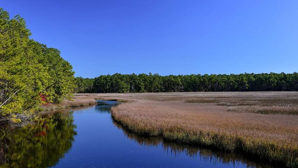 Marshes at SeeweeRun by DRBHomes