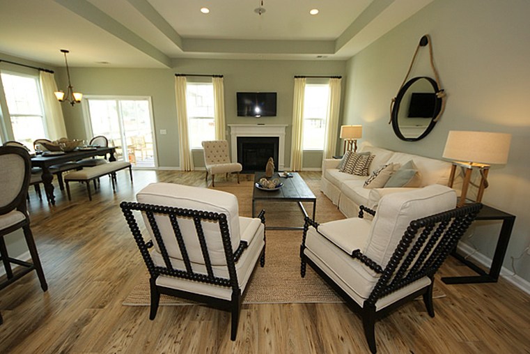 LivingRoom2 at BluffsAshleyRiver by DanRyan