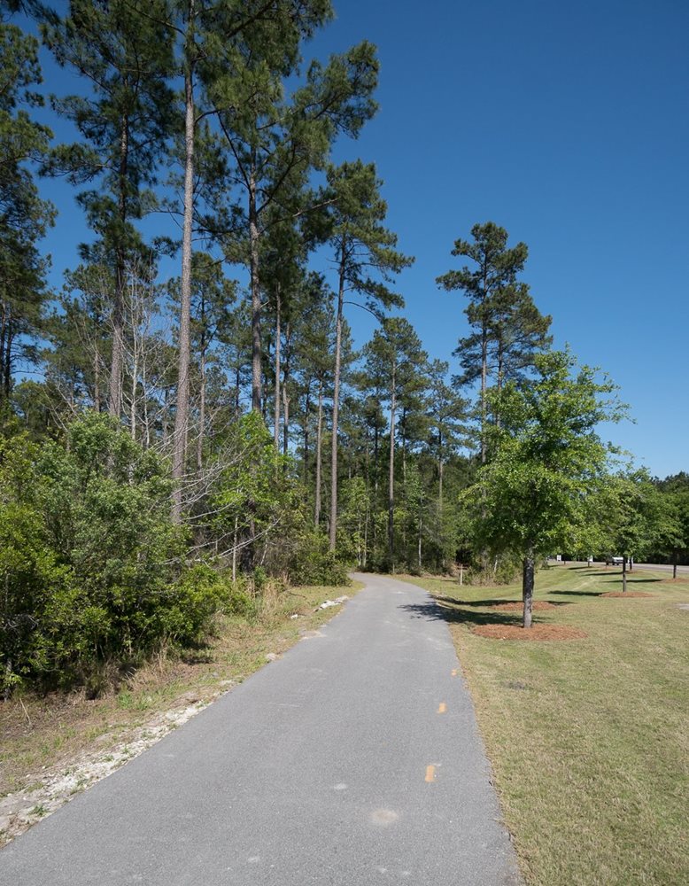 Trails at MagnoliaCaneBay by DanRyan