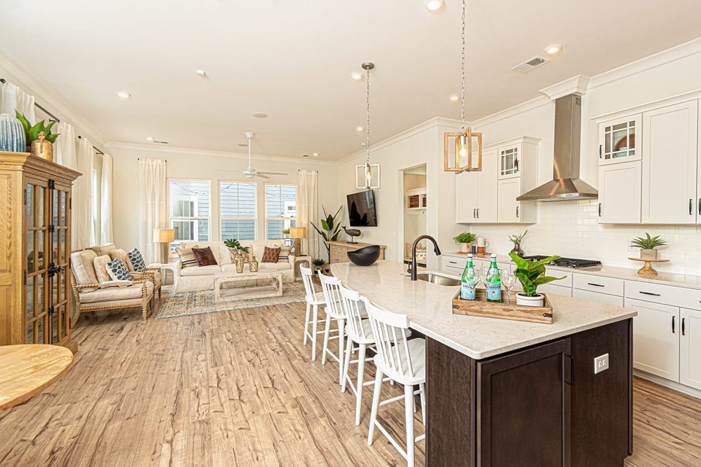 TidewaterOpenLayout at ThePonds by DanRyan
