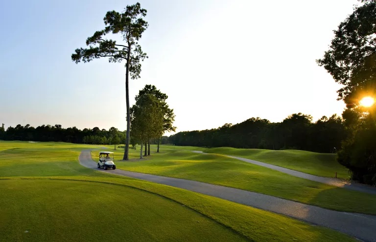 Golf2 at DunesWest by JohnWIeland