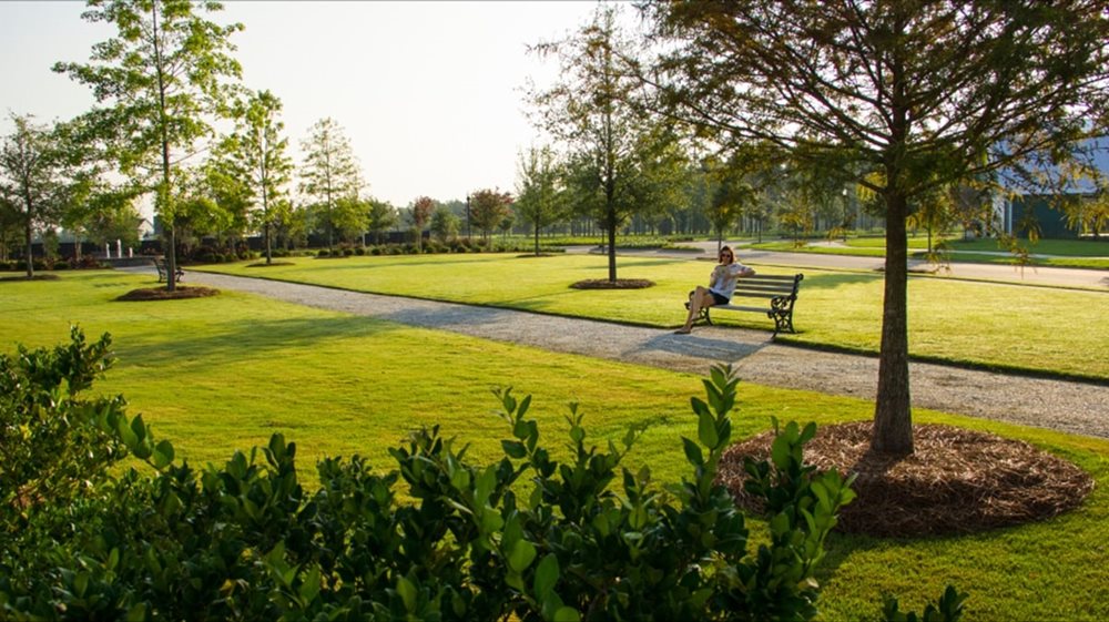 Park at CarnesCrossroads by Lennar