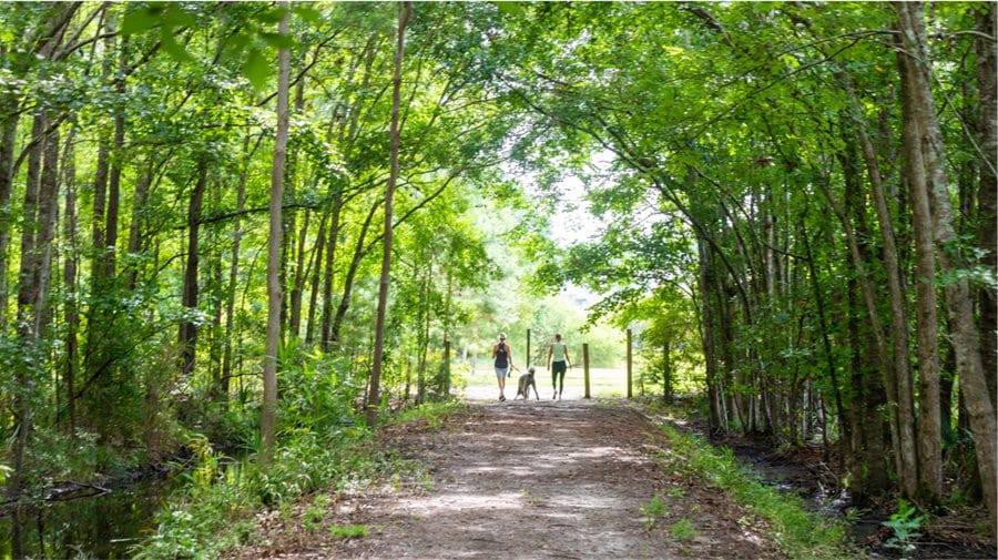 Trails at CarolinaPark by Lennar