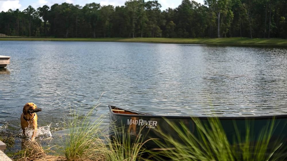 LakeDog at RiversideCarolinaPark by Lennar