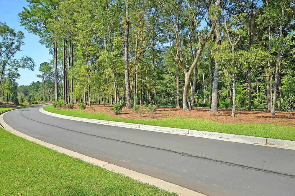 Streetscape at CoosawPreserve by Lennar