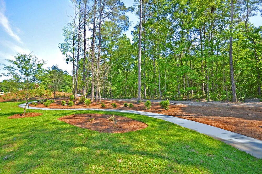 Trail at CoosawPreserve by Lennar