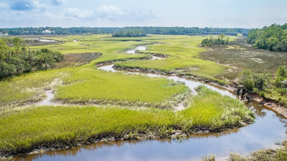 Marsh at GovernorsCayTH by Lennar
