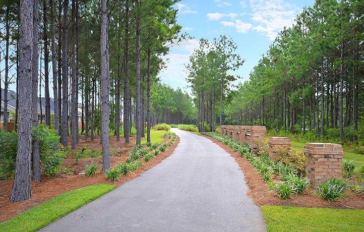 Trail at LinderaPreserve by Lennar