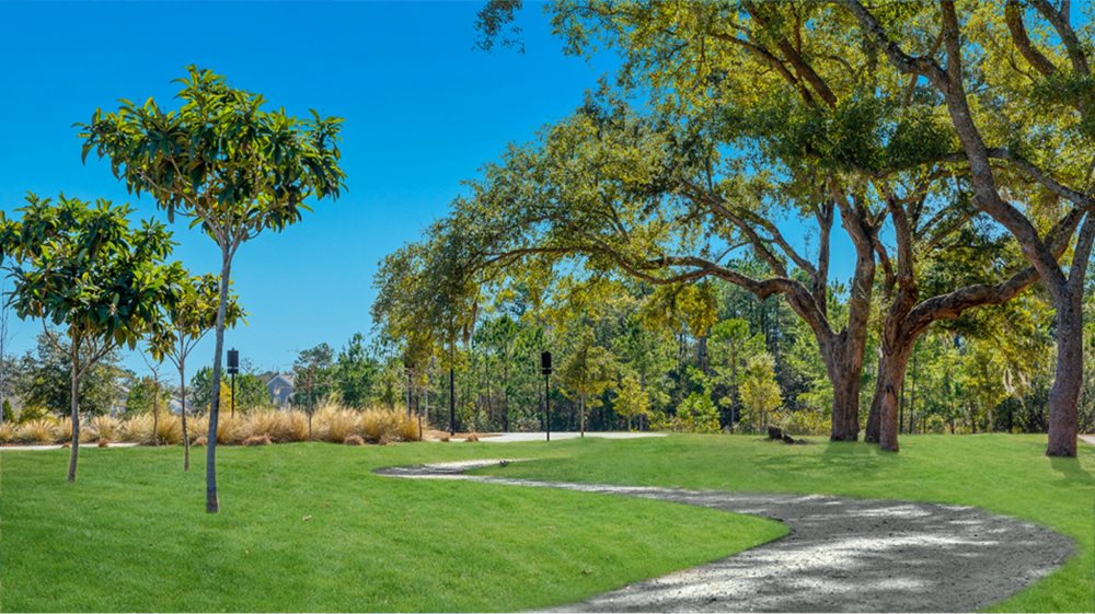 Trail at SaintJohnsLake by Lennar