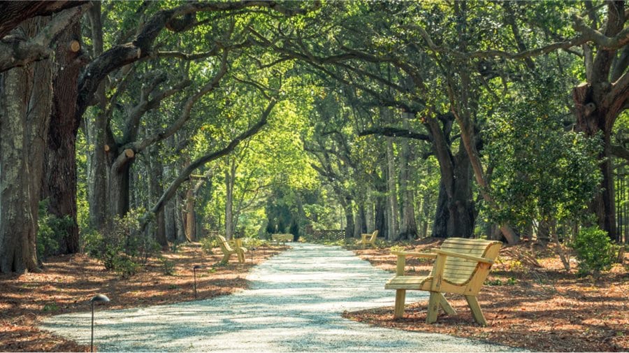Trails at Stonoview by Lennar