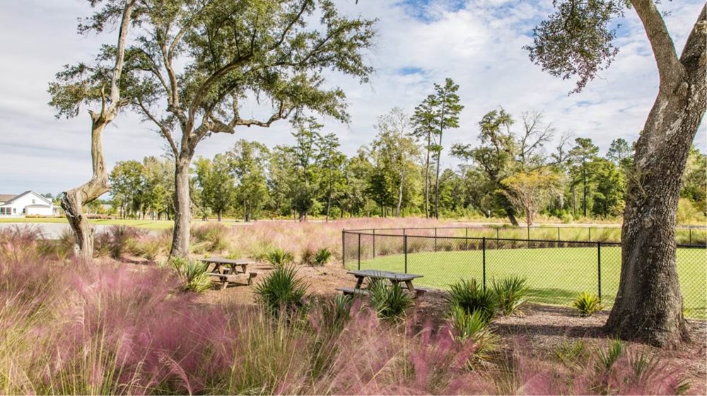 DogPark at SummersCorner AzaleaRidge by Lennar