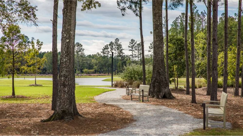 WalkingTrails at SummersCorner AzaleaRidge by Lennar