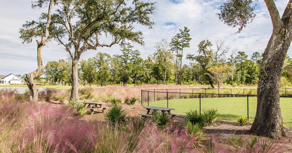 BarkPark at SummersCorner by Lennar