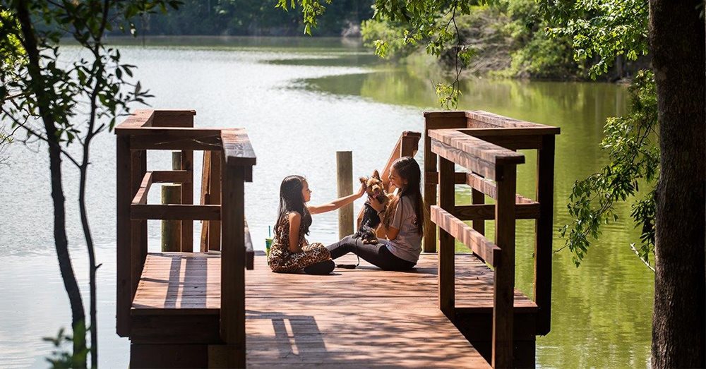 FishingDock at SummersCorner by Lennar