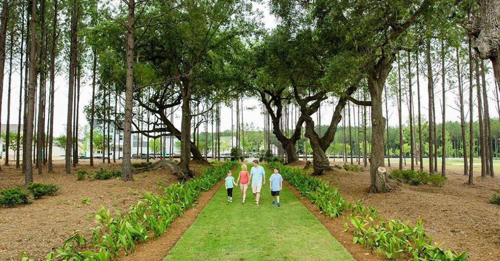 Parks at SummersCorner by Lennar