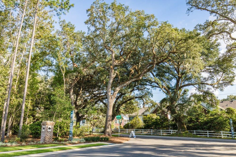 Entrance at TimberTrace by Lennar