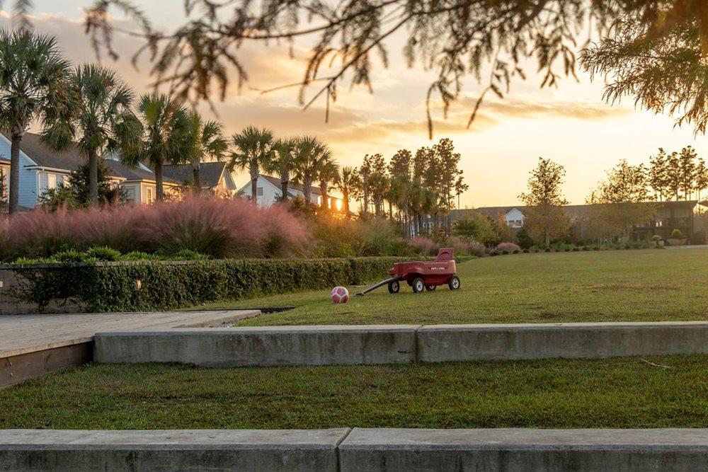 CommunityPark at Nexton by Developer