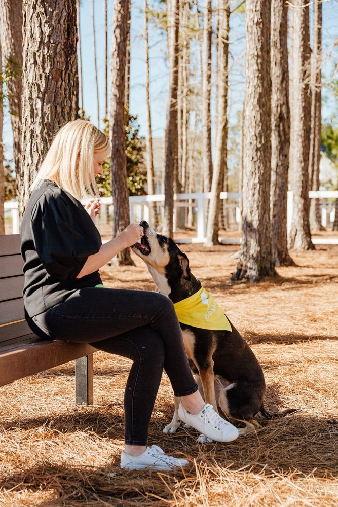 DogPark at Nexton by Developer