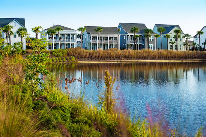 Pond at Nexton by Developer