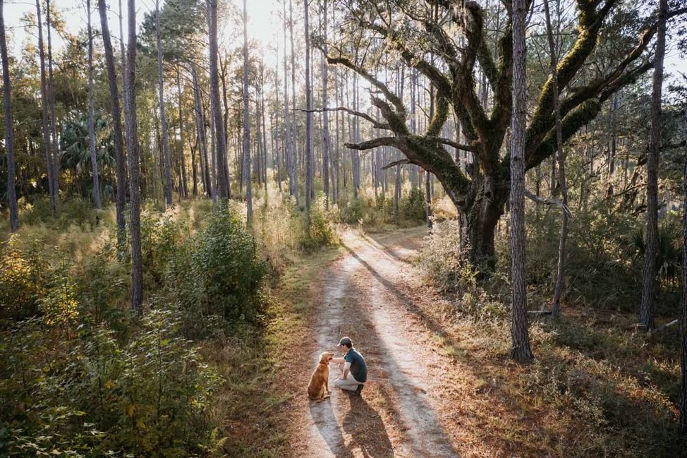 DogTrails at PointHope by Developer