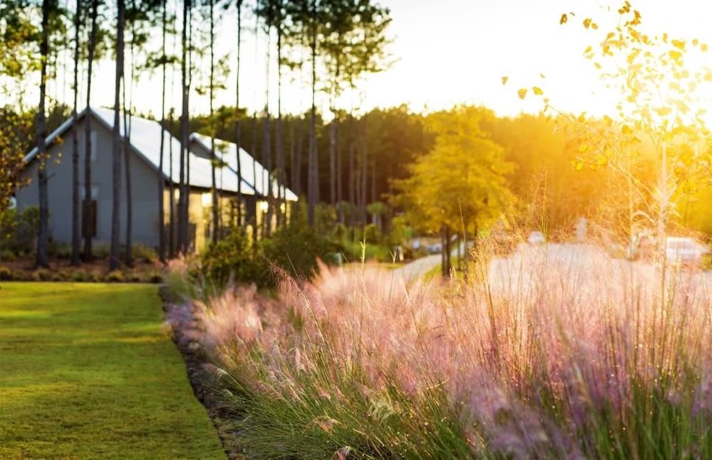 Sunset at NextonTowns by Pulte