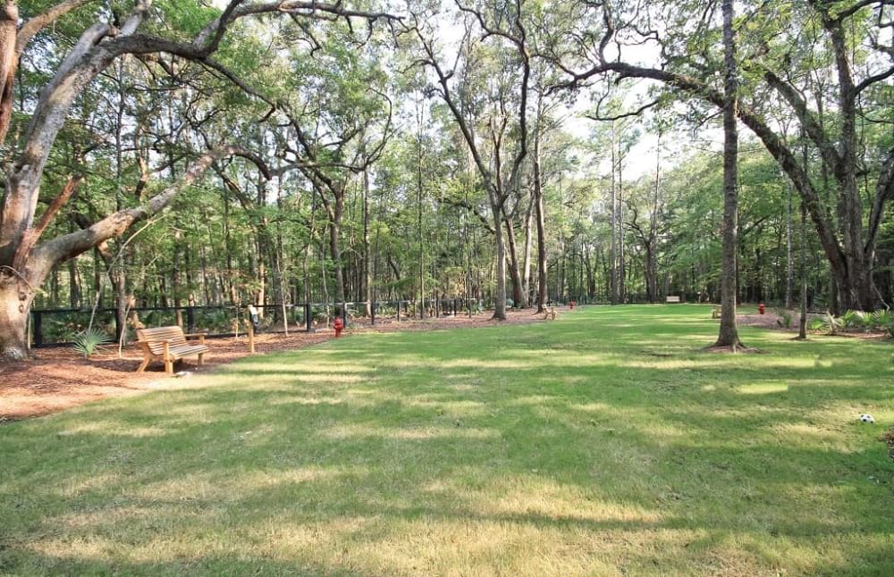 DogPark at ParksEdge by Pulte