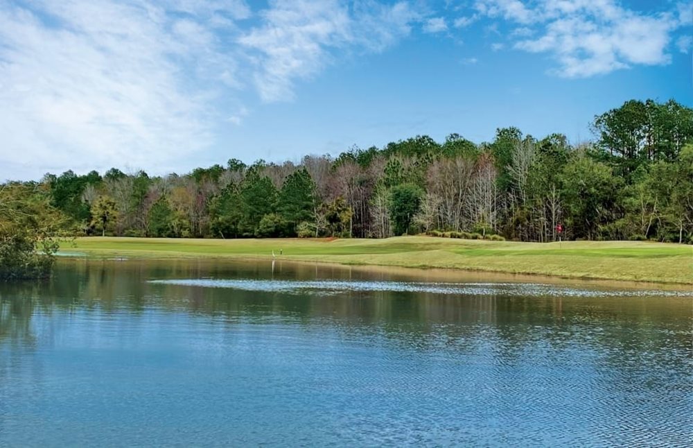 GolfHole at SavannahQuarters by Pulte