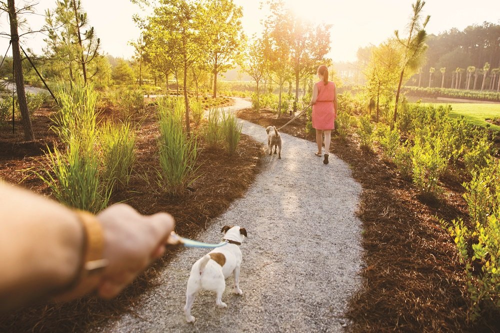 DogWalk at Nexton by Developer
