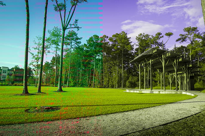 Greenspace at Nexton by Developer