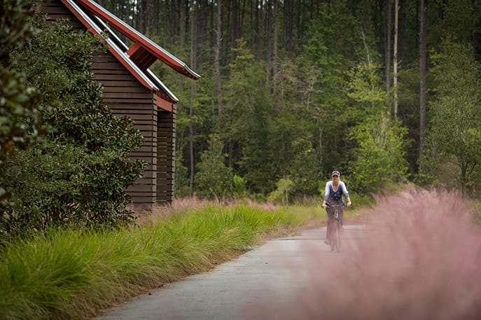 Trails at Nexton by Developer