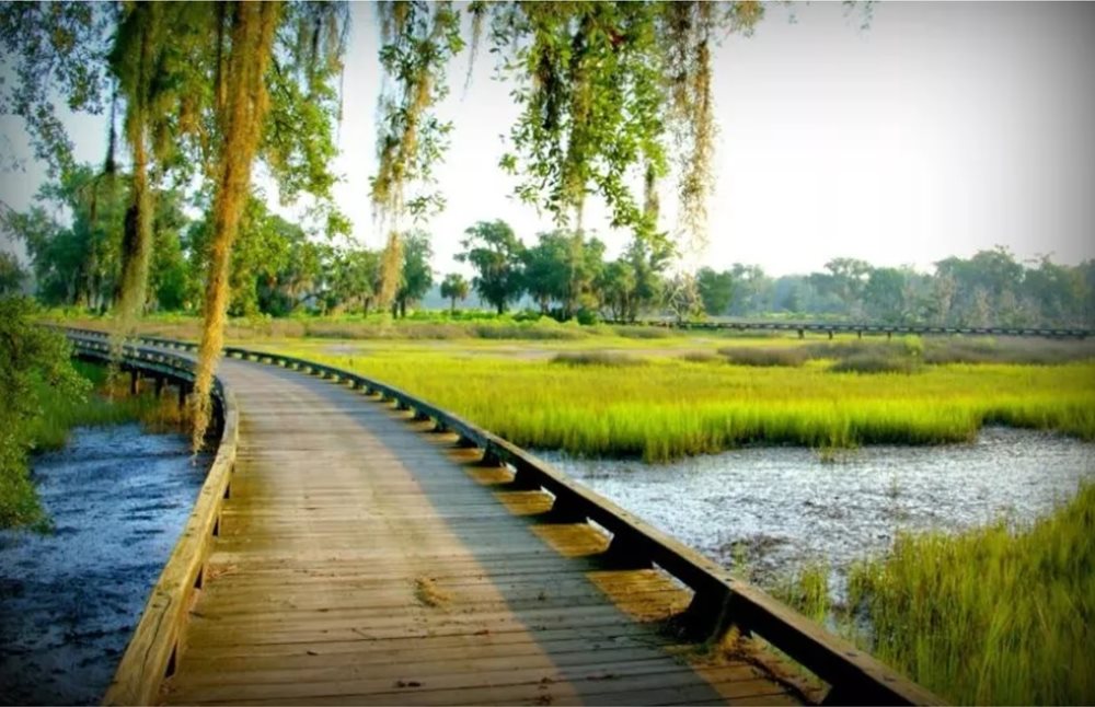 Virtual Information Sessions Announced for Del Webb Savannah at Heartwood 