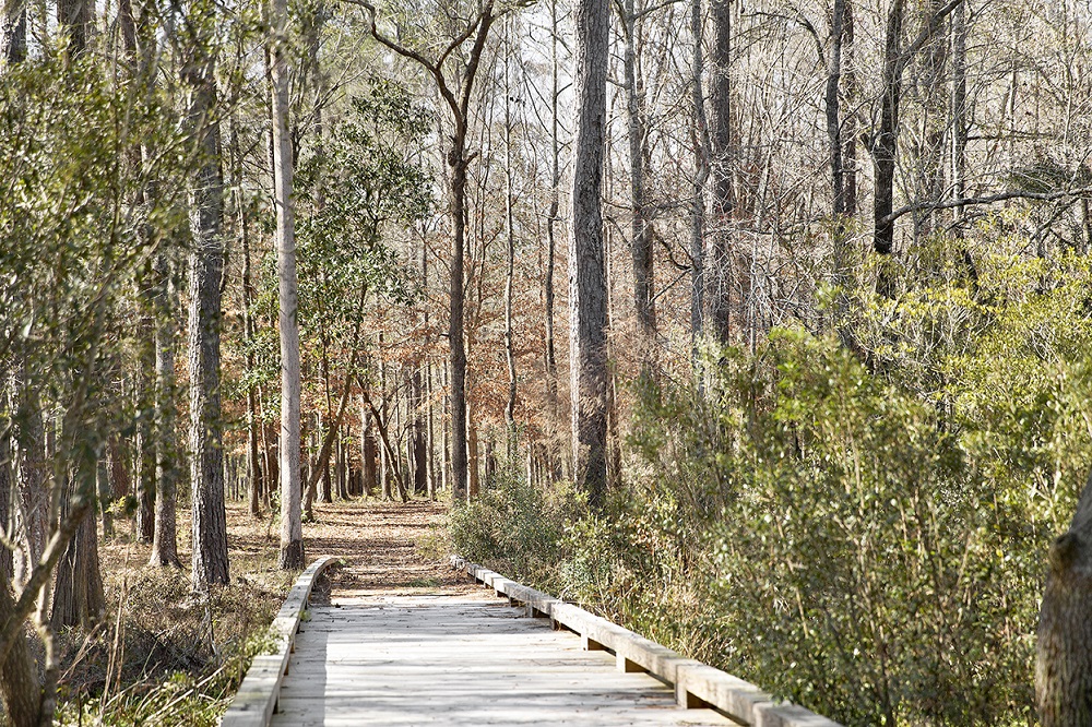 Copy-of-LandingPoplarGrove_Southeastern_Trails.jpg Poplar Grove Charleston SC Walking Trails