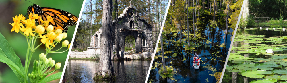 Header-Landscape-Cypress-Gardens-2b.png