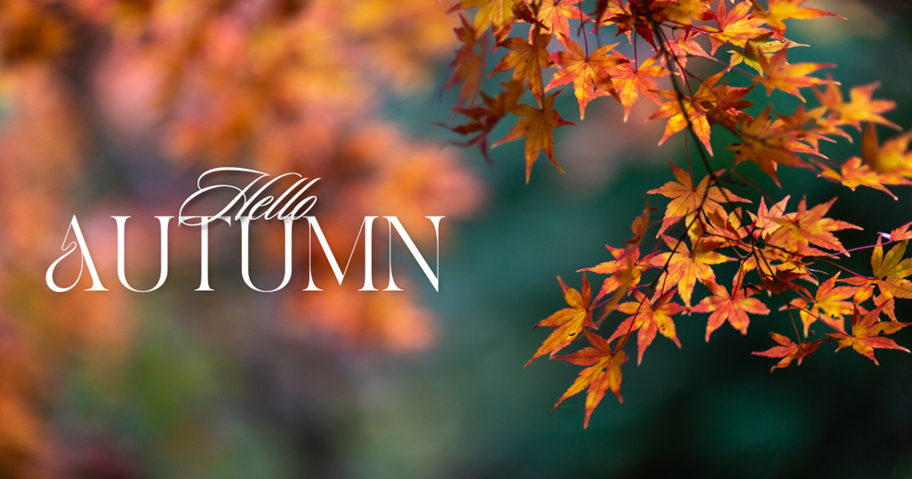 Fall-Events-2-Blog-Banner.png