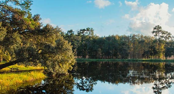 SummersCorner_FeaturedDesign_Pond.jpg Summers Corner Summerville SC Community Pond