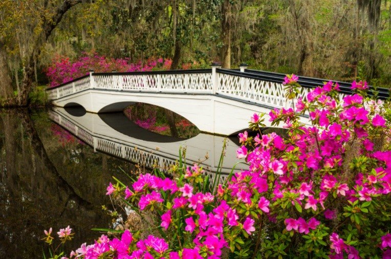 Summerville Flowertown Park Bridge