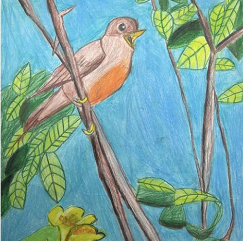 Home Telecom’s 9th annual Directory Art Challenge - Amaya Mahalungkar Gamez