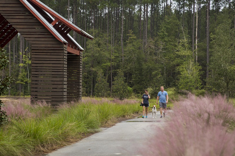 NextonTrails.jpg nexton walking trails summerville sc