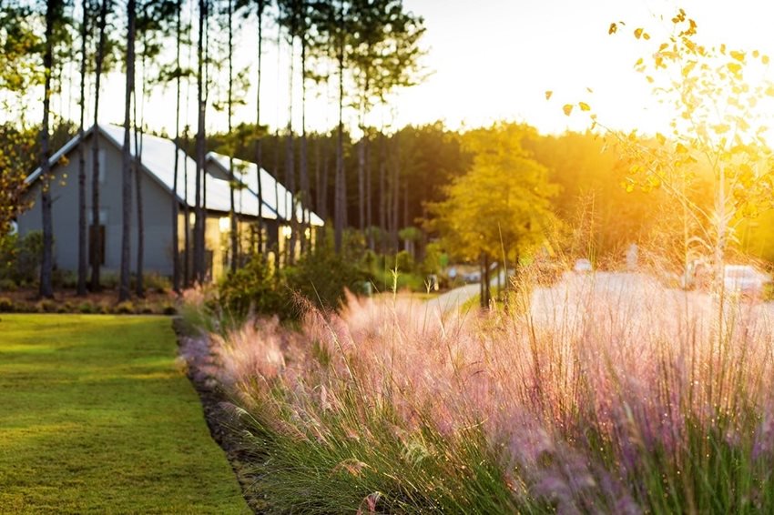 Nexton-Sawgrass.jpg Nexton Summerville SC Greenspace