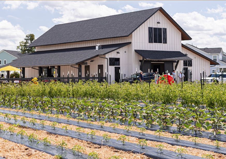 Agrihood Living: A Closer Look at the Farm Share Program at Carnes Crossroads